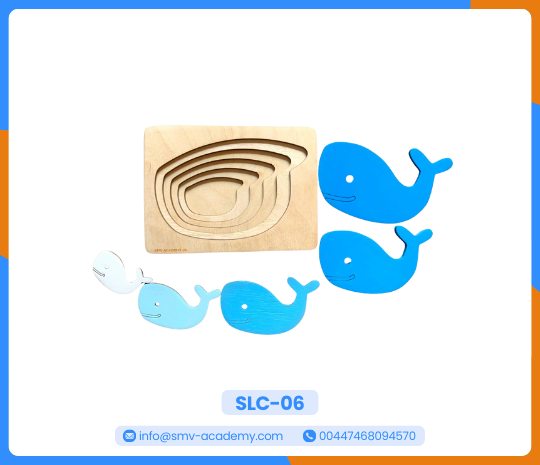 بازل دولفين متعدد الطبقات